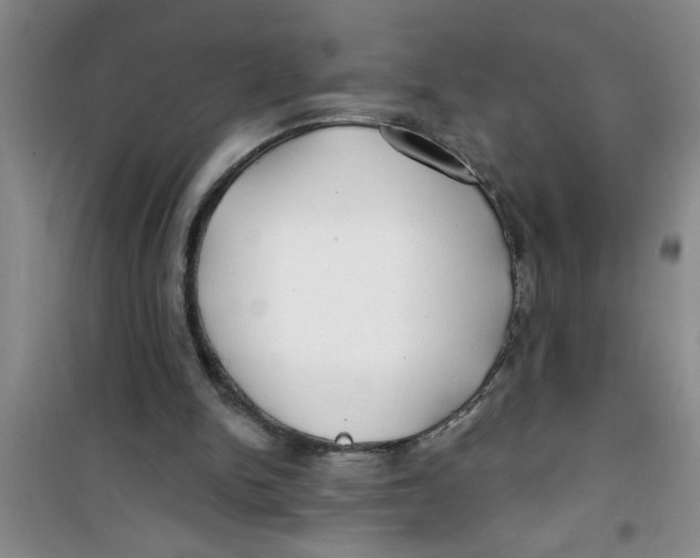 X0000100970150200807221218