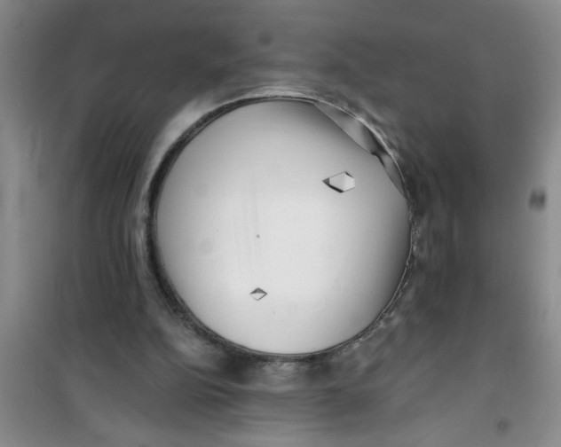 X0000100970152200807221218