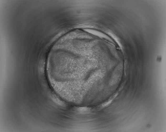 X0000100970153200807221218