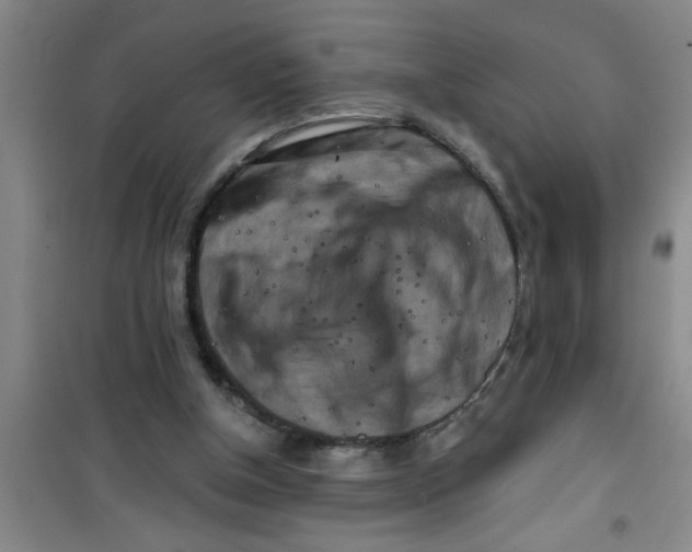X0000100970154200807221218