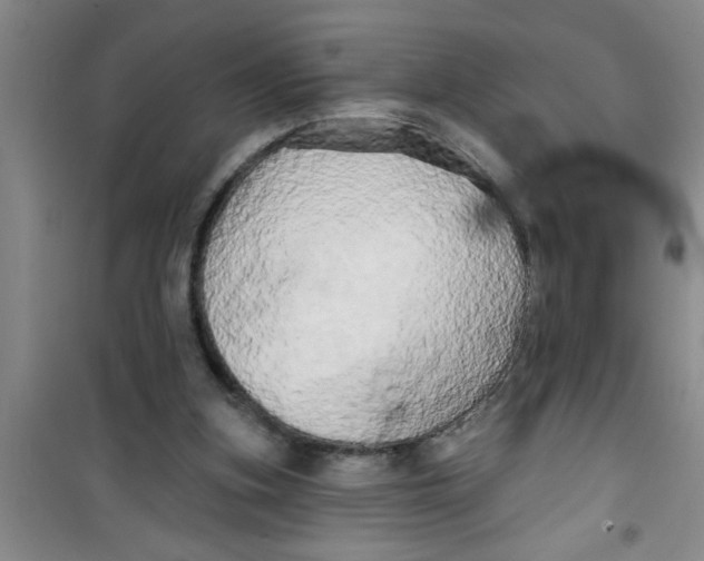 X0000100970155200807221218