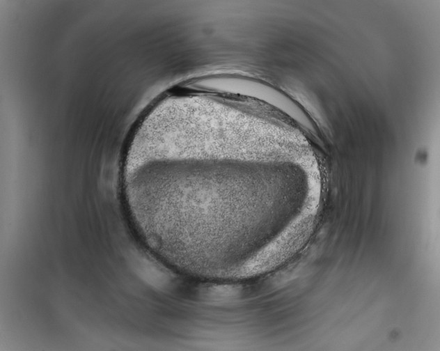 X0000100970156200807221218