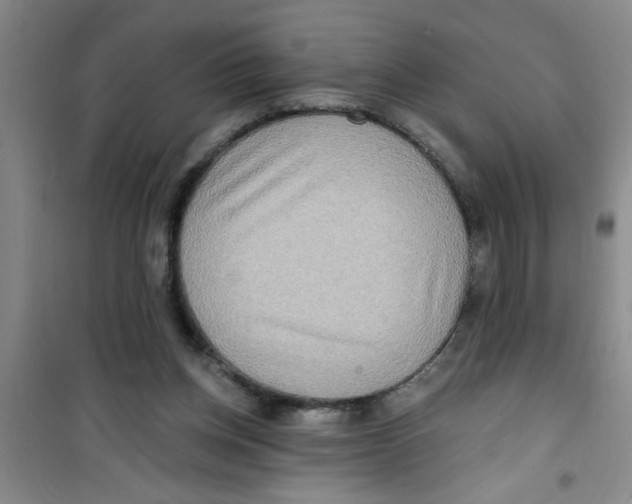 X0000100970158200807221218