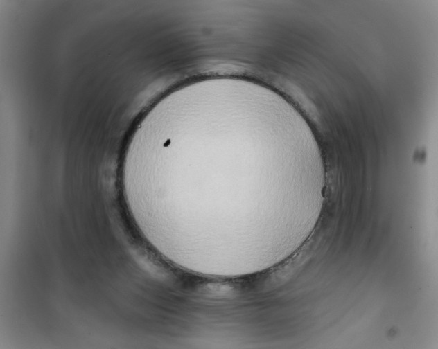 X0000100970159200807221218