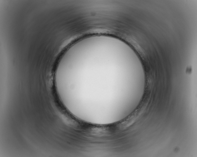 X0000100970160200807221218