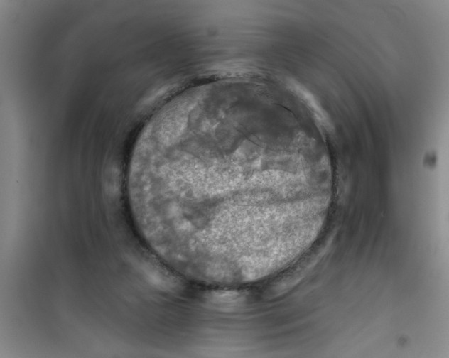 X0000100970161200807221218