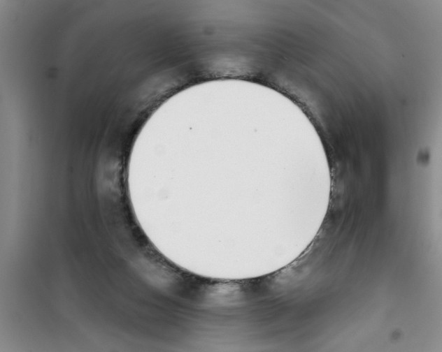 X0000100970162200807221218