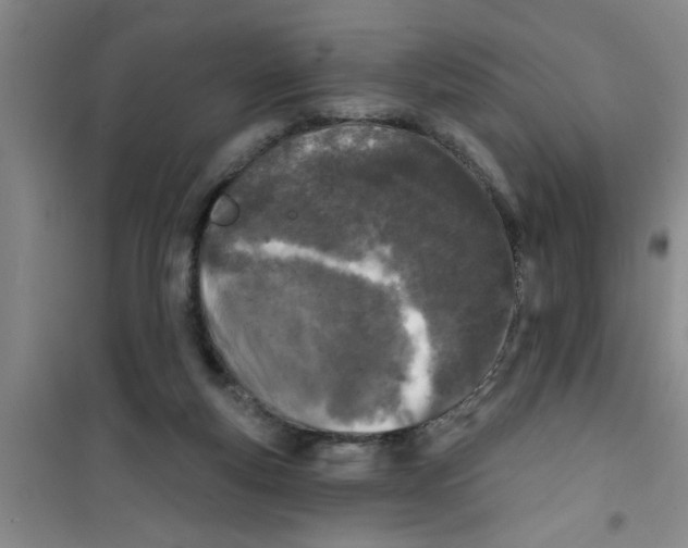 X0000100970163200807221218