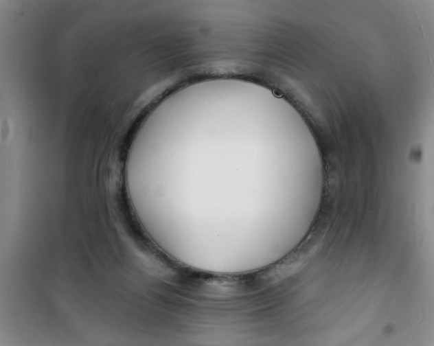 X0000100970164200807221218