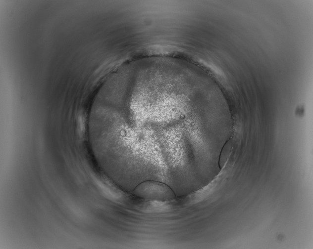 X0000100970166200807221218