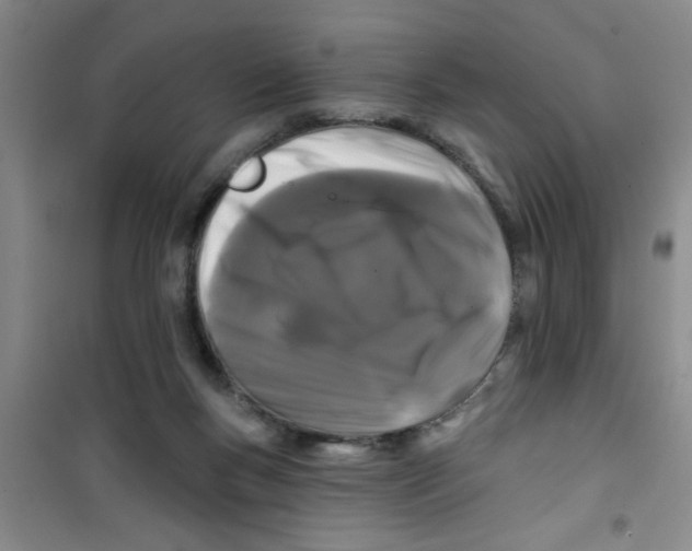 X0000100970167200807221218