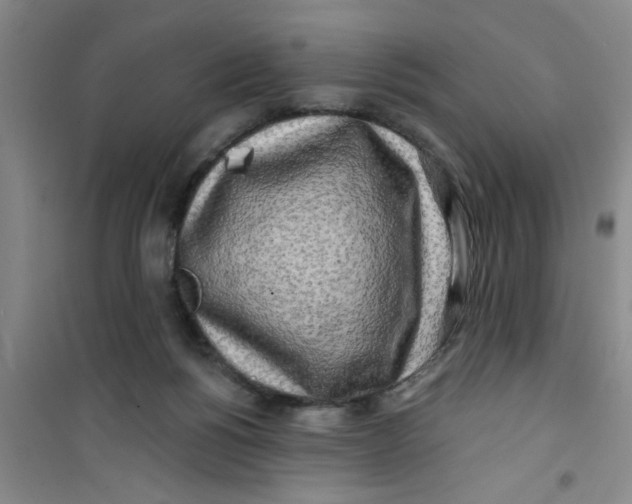 X0000100970168200807221218