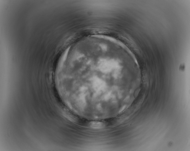 X0000100970169200807221218