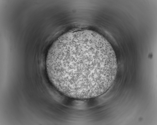 X0000100970170200807221218