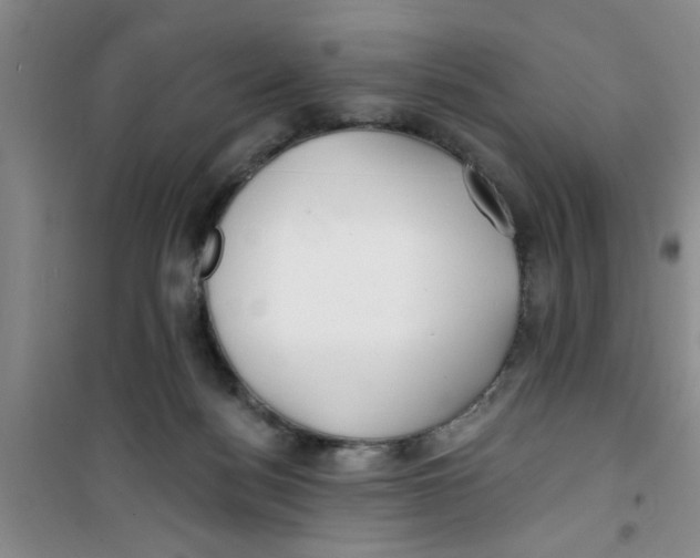 X0000100970172200807221218