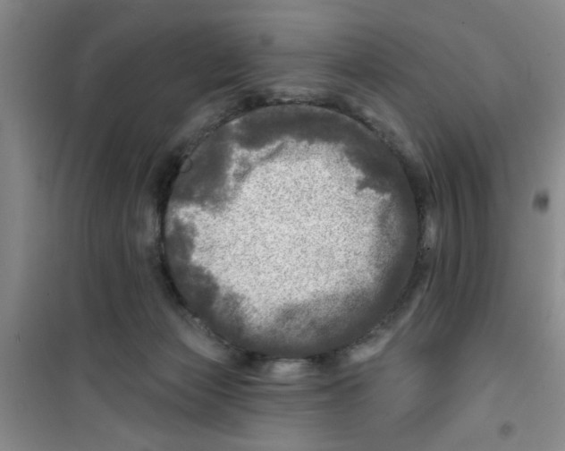 X0000100970173200807221218