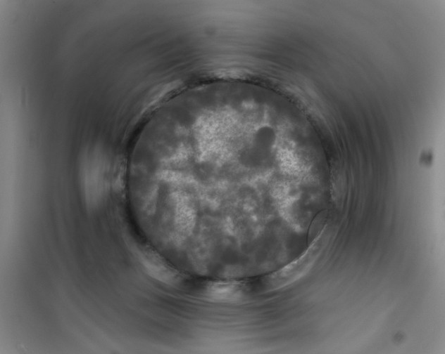 X0000100970175200807221218