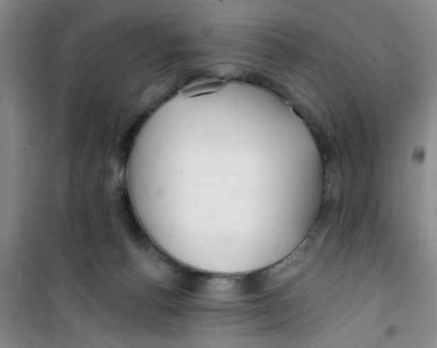 X0000100970176200807221218
