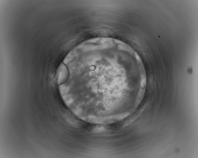 X0000100970177200807221218