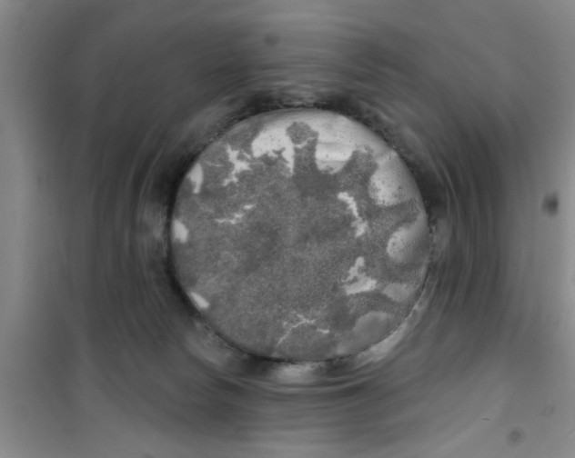 X0000100970178200807221218
