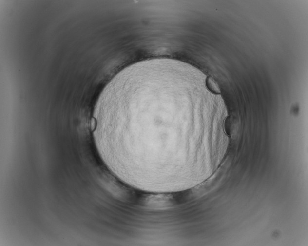 X0000100970179200807221218