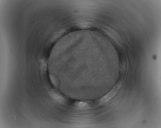 X0000100970180200807221219