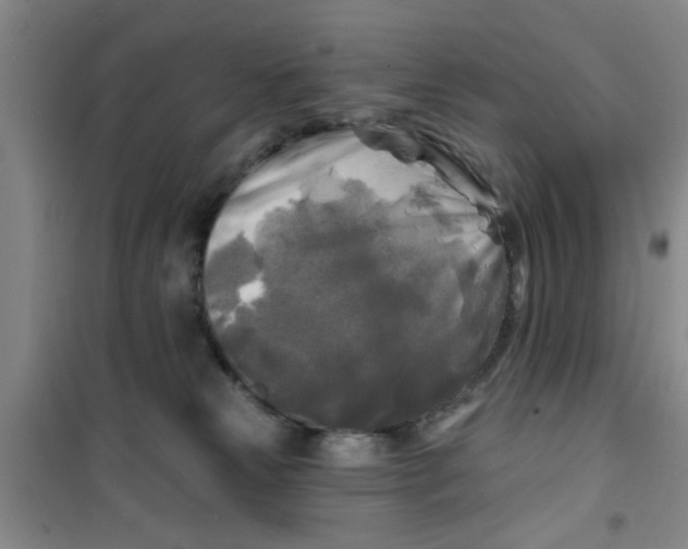 X0000100970181200807221219