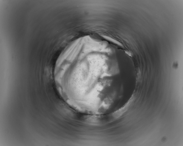 X0000100970182200807221219