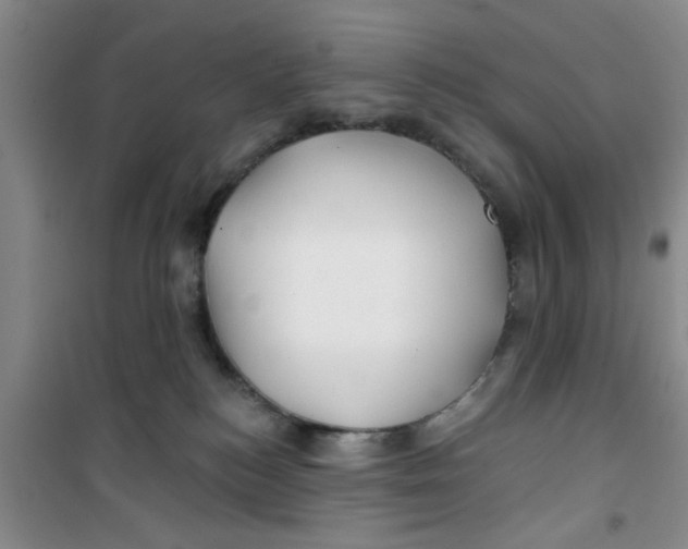 X0000100970184200807221219