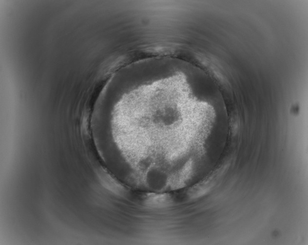 X0000100970185200807221219