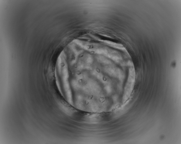 X0000100970186200807221219