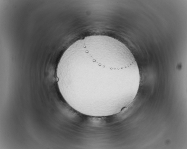 X0000100970187200807221219