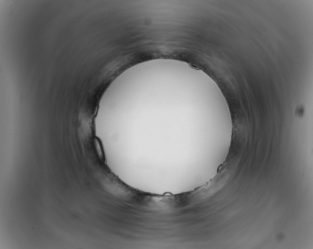 X0000100970188200807221219