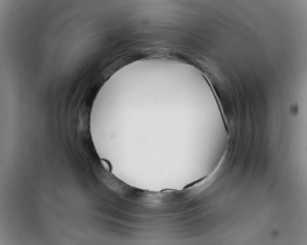 X0000100970190200807221219