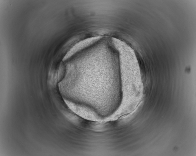 X0000100970191200807221219
