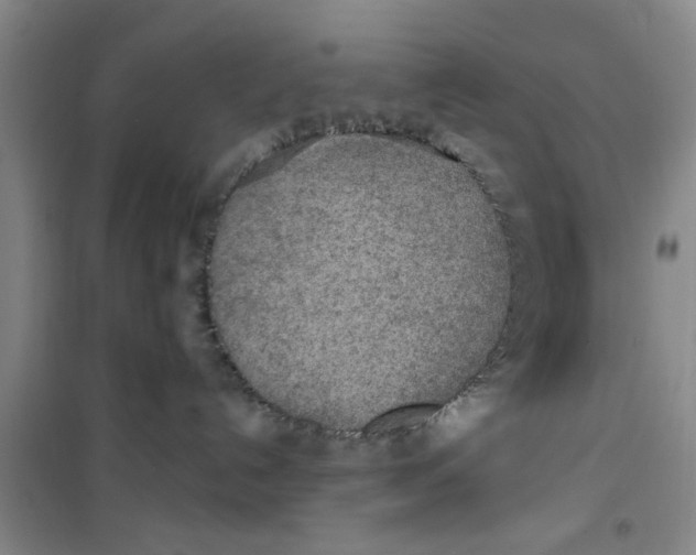 X0000100970192200807221219