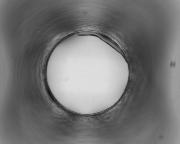 X0000100970193200807221218