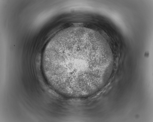 X0000100970194200807221218