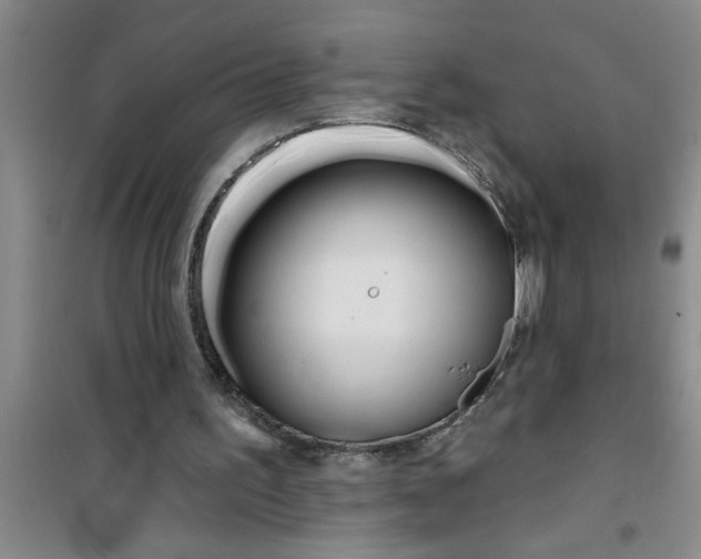 X0000100970195200807221218