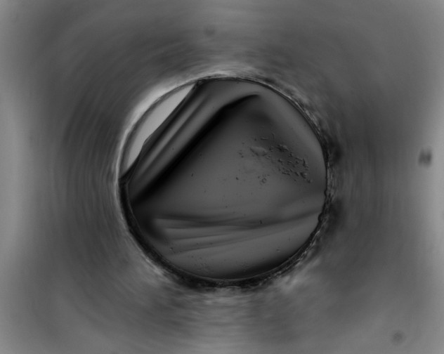 X0000100970196200807221218