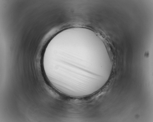 X0000100970197200807221218
