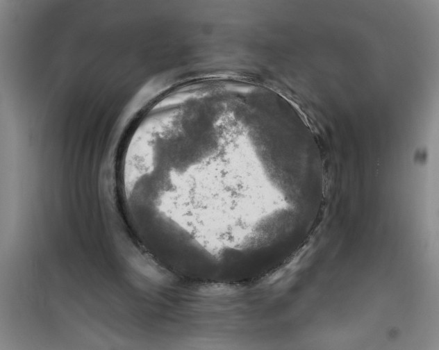 X0000100970198200807221218