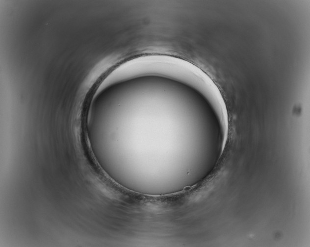 X0000100970199200807221218