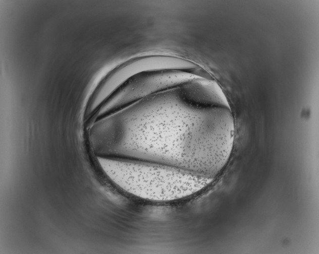 X0000100970200200807221218