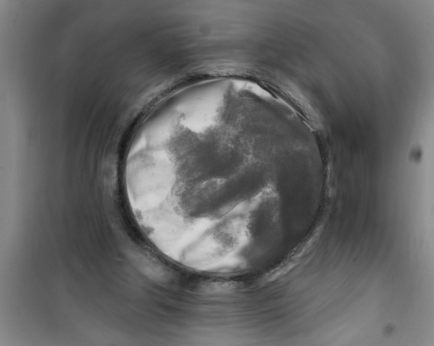 X0000100970202200807221218