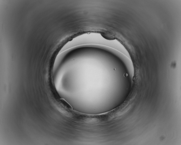 X0000100970203200807221218