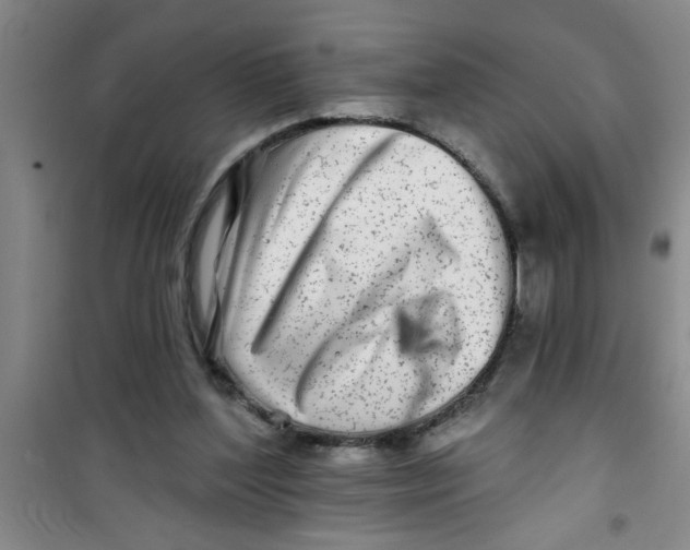X0000100970204200807221218