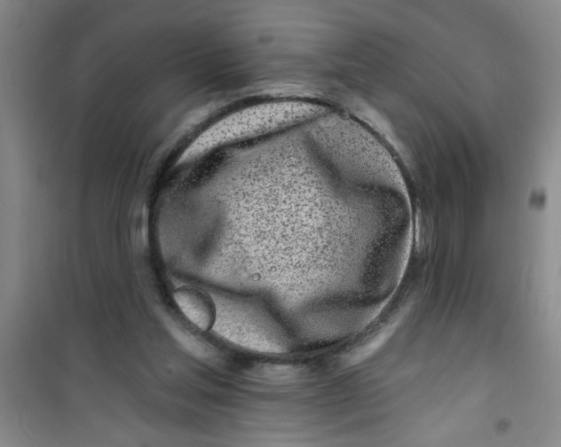 X0000100970205200807221218