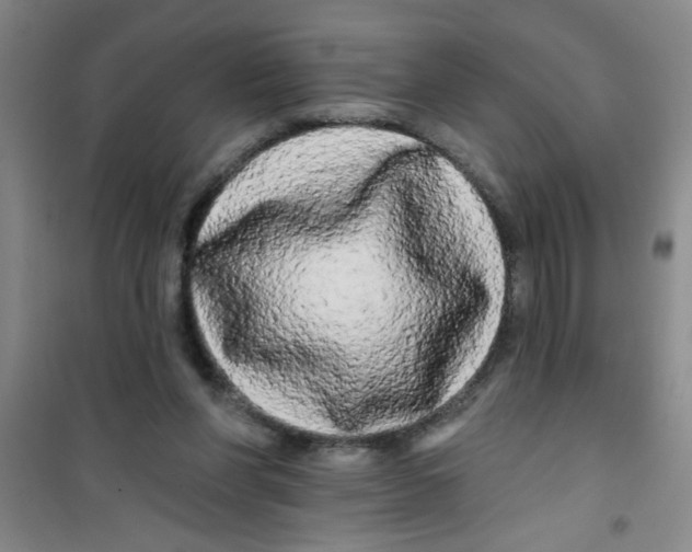 X0000100970206200807221218