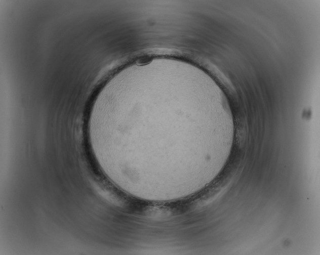 X0000100970207200807221218
